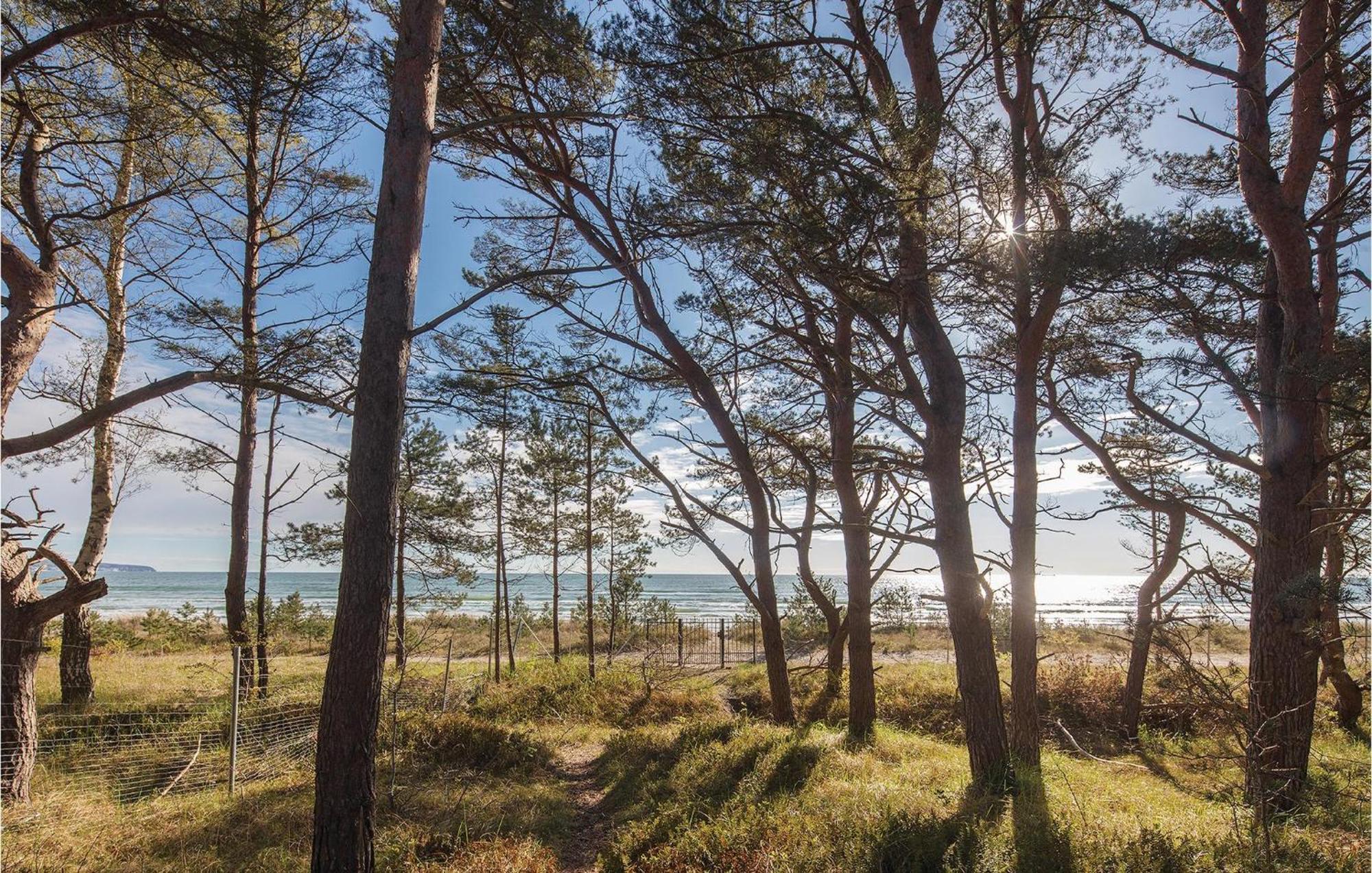Apartment Junior Ostseebad Binz